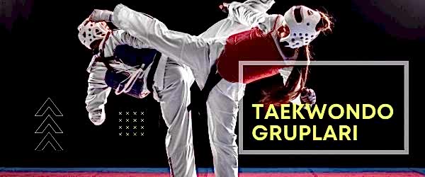 taekwondo
